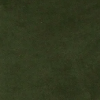 Ferngreen