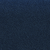 Midnightblue